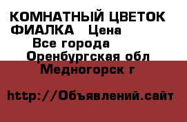 КОМНАТНЫЙ ЦВЕТОК -ФИАЛКА › Цена ­ 1 500 - Все города  »    . Оренбургская обл.,Медногорск г.